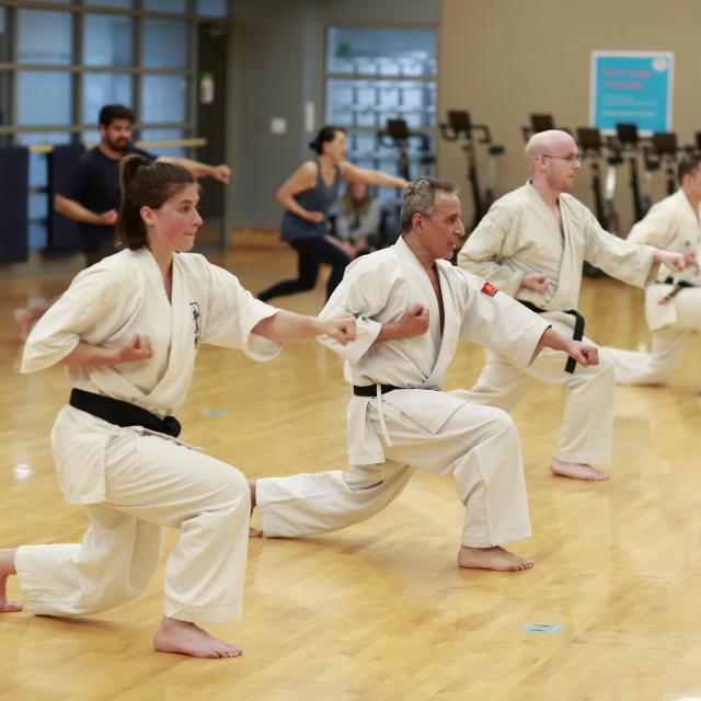 Karate with Hamid